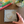 Gold hoop earrings on a fabric pad with a hand touching it, on a wooden surface with books and a plant in the background.
