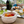 Ruffled Edge Platter Set
