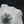 White Whisper